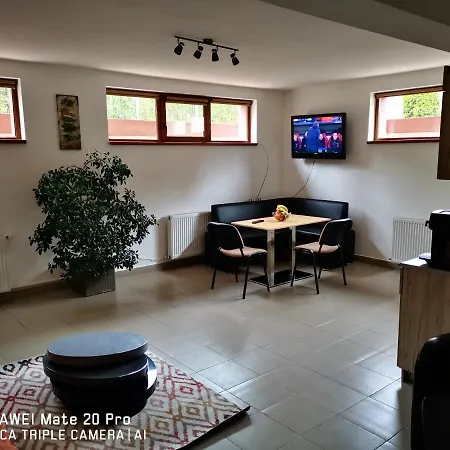 Marasti 1 Apartment